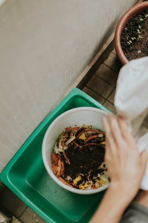 Beginner Tips for Composting at Home: Easy Guide to Start Today